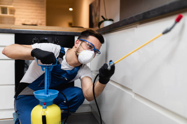 Best Pest Inspection Near Me  in Sandy, OR