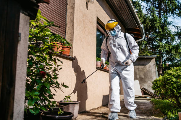 Best Pest Prevention Services  in Sandy, OR
