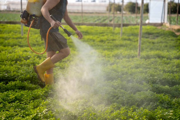 Best Best Pest Control Companies  in Sandy, OR