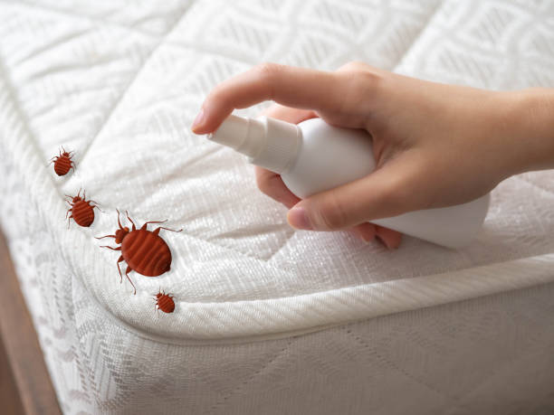 Best Best Pest Control Companies  in Sandy, OR