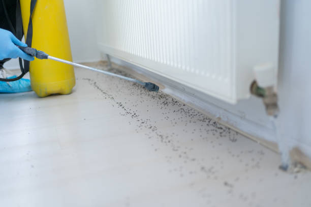 Best Affordable Pest Control Services  in Sandy, OR